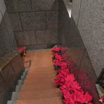 トルッキオ - ②地下への階段