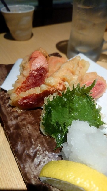 閉店 九州名物とめ手羽 札幌駅前店 さっぽろ 札幌市営 居酒屋 食べログ