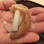 山もと - ケンサキイカ 2019年8月