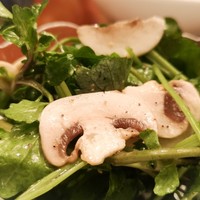 松阪牛炭火焼肉 東海亭 - クレソンと三葉とマッシュルームのサラダ(取り分け後)