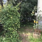 ラ・ボッテガ・ゴローザ - 