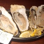 gigas Oyster Spot Bar - 