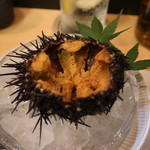 季節料理 よし野 - ムラサキウニ