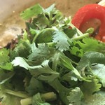 スープカレー トムトムキキル - パクチー（150円+税）