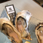 NERIMA OYSTER BAR - 