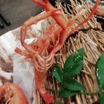 肴や 陣 - エーックス!