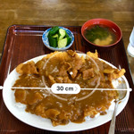 Matsumoto Shiyokudou - 直径30cmの大皿に山盛りカツカレー