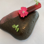 ミシェル・ブラス トーヤ ジャポン - 