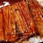 Unagi Toku - 