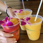 Barefoot Beach Cafe - スムージー＄7位