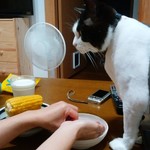 ヤオヨシ - 食べてみた