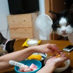 ヤオヨシ - 食べてみた