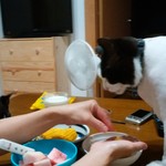 ヤオヨシ - 食べてみた