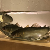 小熊 - 