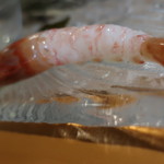 美国観光ハウス - 大きなぼたん海老