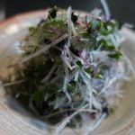 美国観光ハウス - 大根サラダ