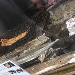 炭焼あなご やま義 - 