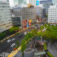 日本料理 桂 - 