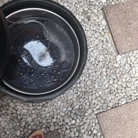 入谷鬼子母神門前のだや - 