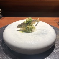 TACUBO - 