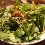 バルバッコア - 大好きなクレソンいっぱい