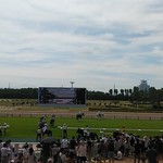 築地銀だこハイボール酒場 - 