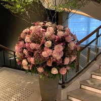 ヘイフンテラス - 