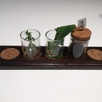 Takumi - レモンタイム、ルッコラ、黒ニンニクのサンプル