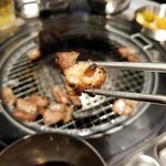 韓国式焼肉 MAYAKK CALVI - 