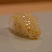 鮨 志の助 - アオリイカ
