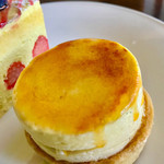 113378369 - レピキュリアン