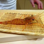 すし善 - ボタン海老   活きてます 