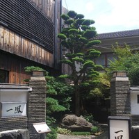名古屋コーチン・旬菜 一鳳 金山本店 - 