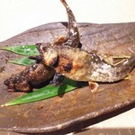 燕 - 若鮎塩焼き