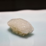 鮨 なんば - 白烏賊