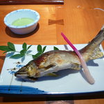 Ichikawa - 地元でとれた鮎の塩焼き