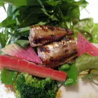 リストランテ ティー ブイ ビー - 柳葉魚と朝採り野菜のサラダ仕立て
