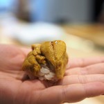 鮨 なんば - 唐津の雲丹