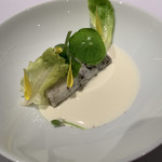 ミシェル・ブラス トーヤ ジャポン - 