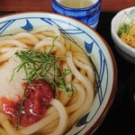 丸亀製麺 - 梅おろし冷かけ(並)    420円        とろら    70円