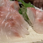 やき鶏 おさ田 - お刺身