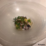 カーサ・デル・チーボ - 天然ﾄﾗ河豚＆筍のｲﾝｻﾗｰﾀ