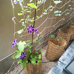 料亭 大宮 一の家 - 