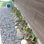 にぐるまやダイニング - 外観