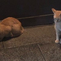 飯田 - 
