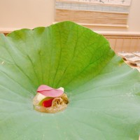 道人 - 