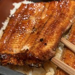 Unagi Toku - 