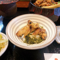 とり田 博多本店 - 