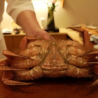 すし屋のさい藤 札幌本店 - 