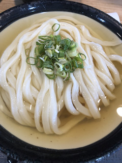 Nihombashiudonsakabahoshino - かけうどんは大にしました。